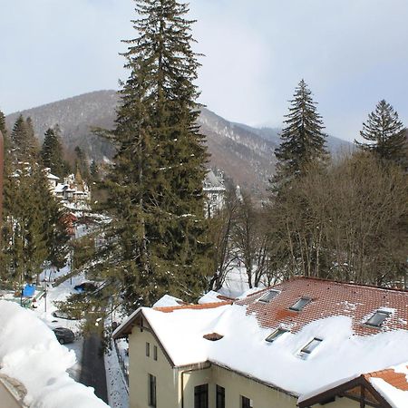 Central Park View Sinaia Apartment Екстериор снимка