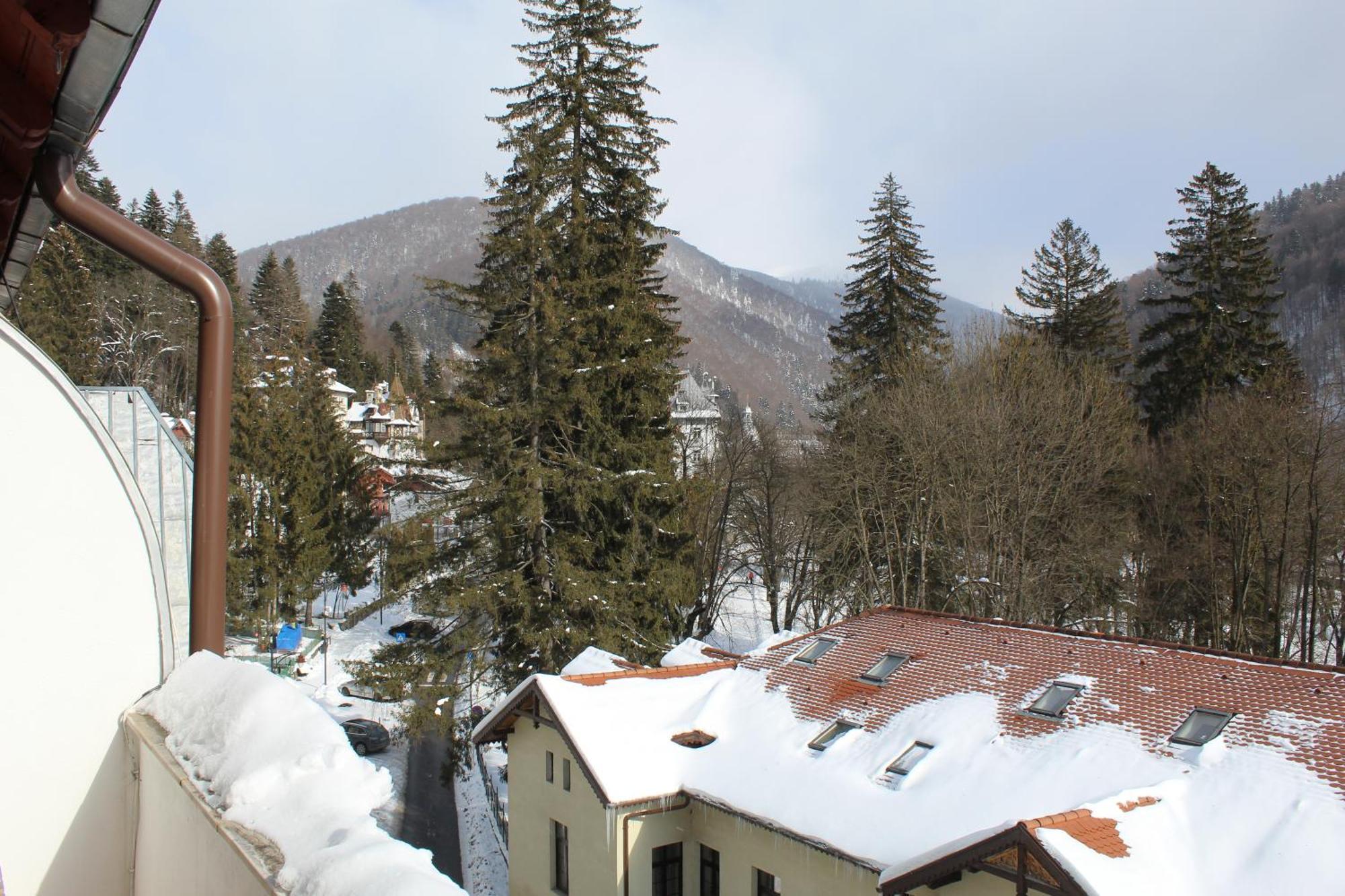 Central Park View Sinaia Apartment Екстериор снимка