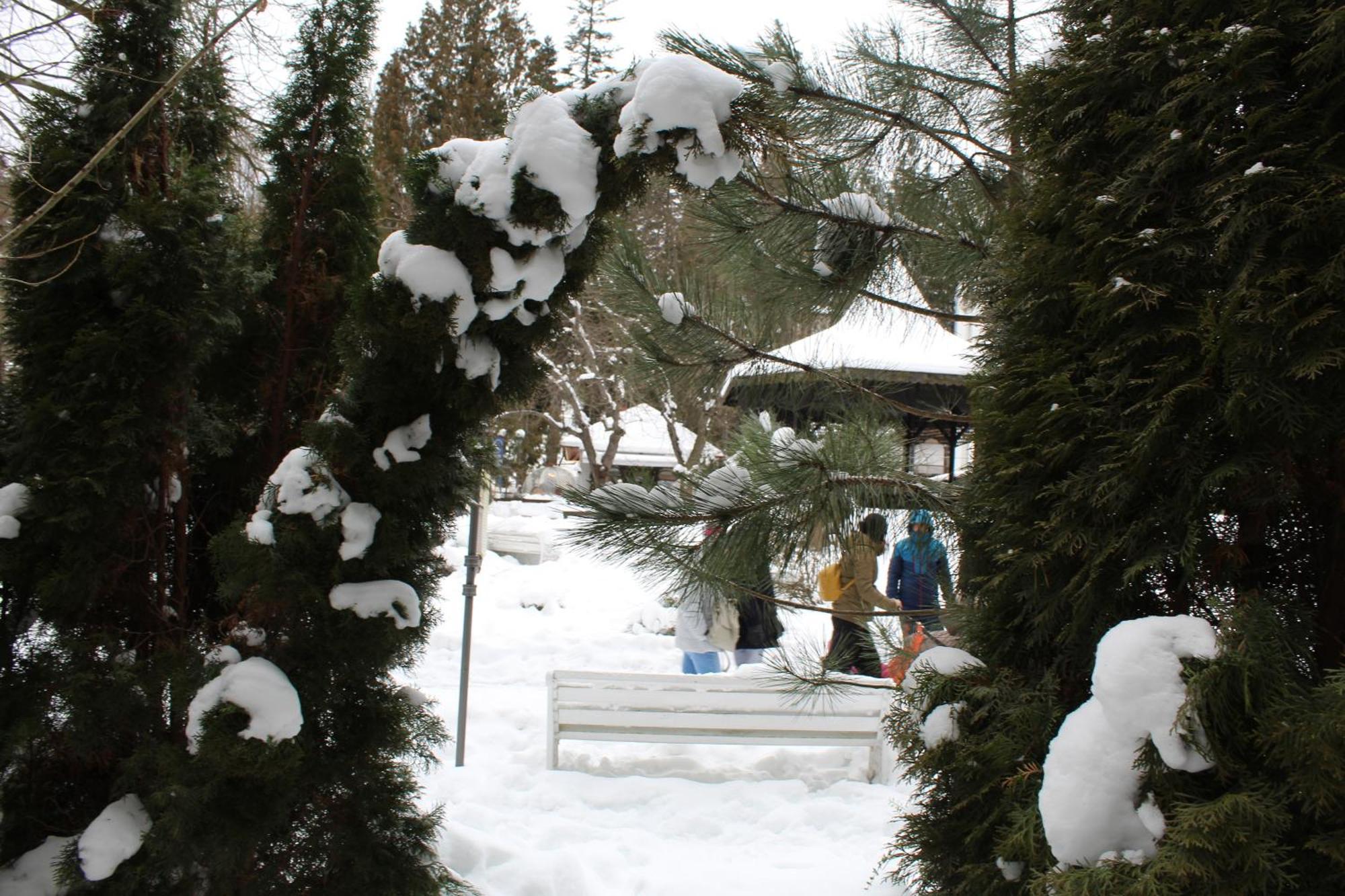 Central Park View Sinaia Apartment Екстериор снимка