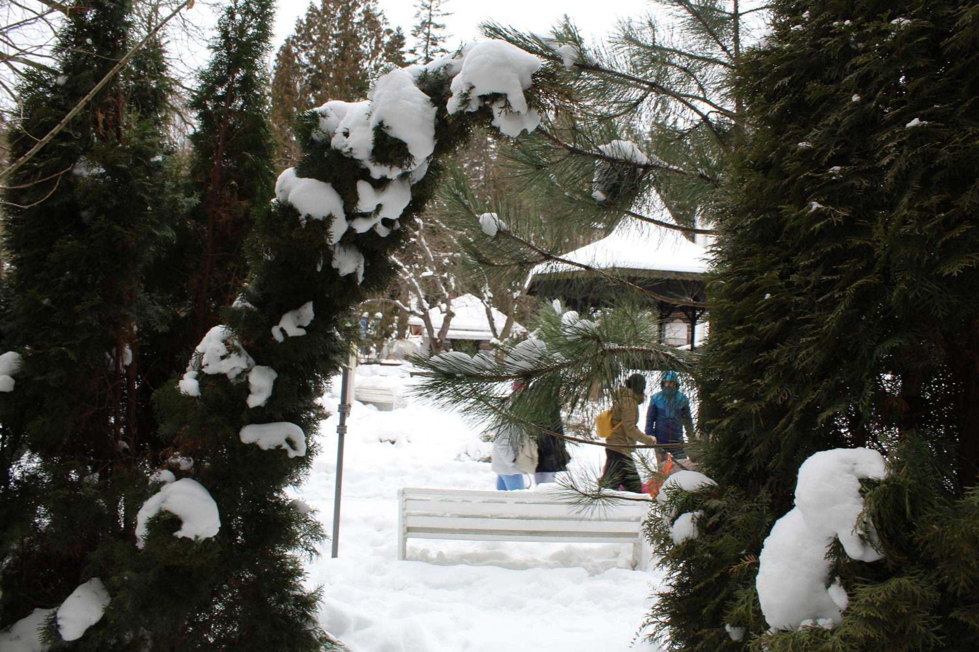 Central Park View Синая Екстериор снимка