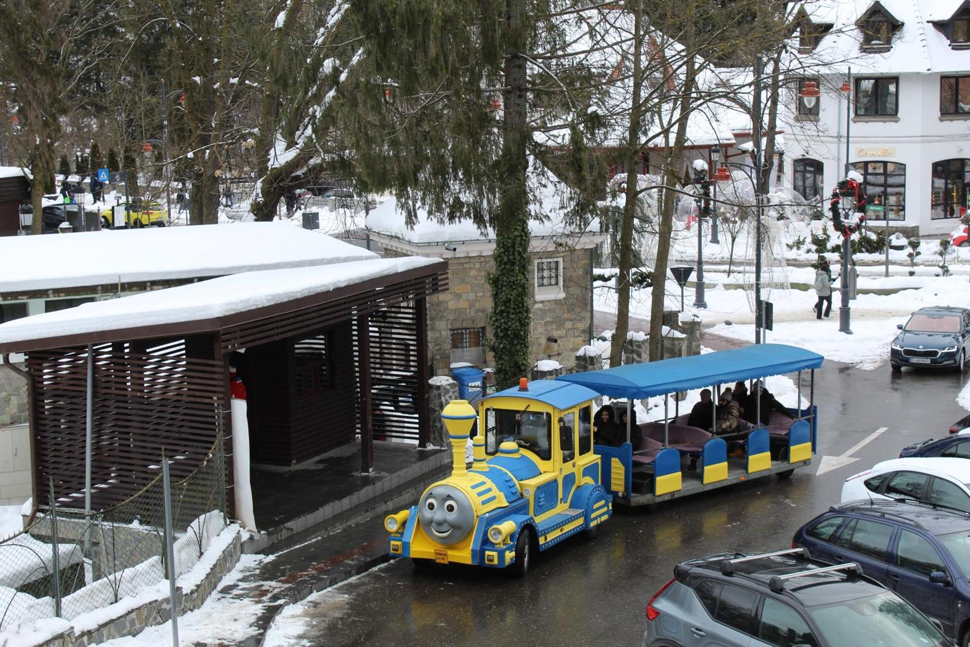 Central Park View Sinaia Apartment Екстериор снимка