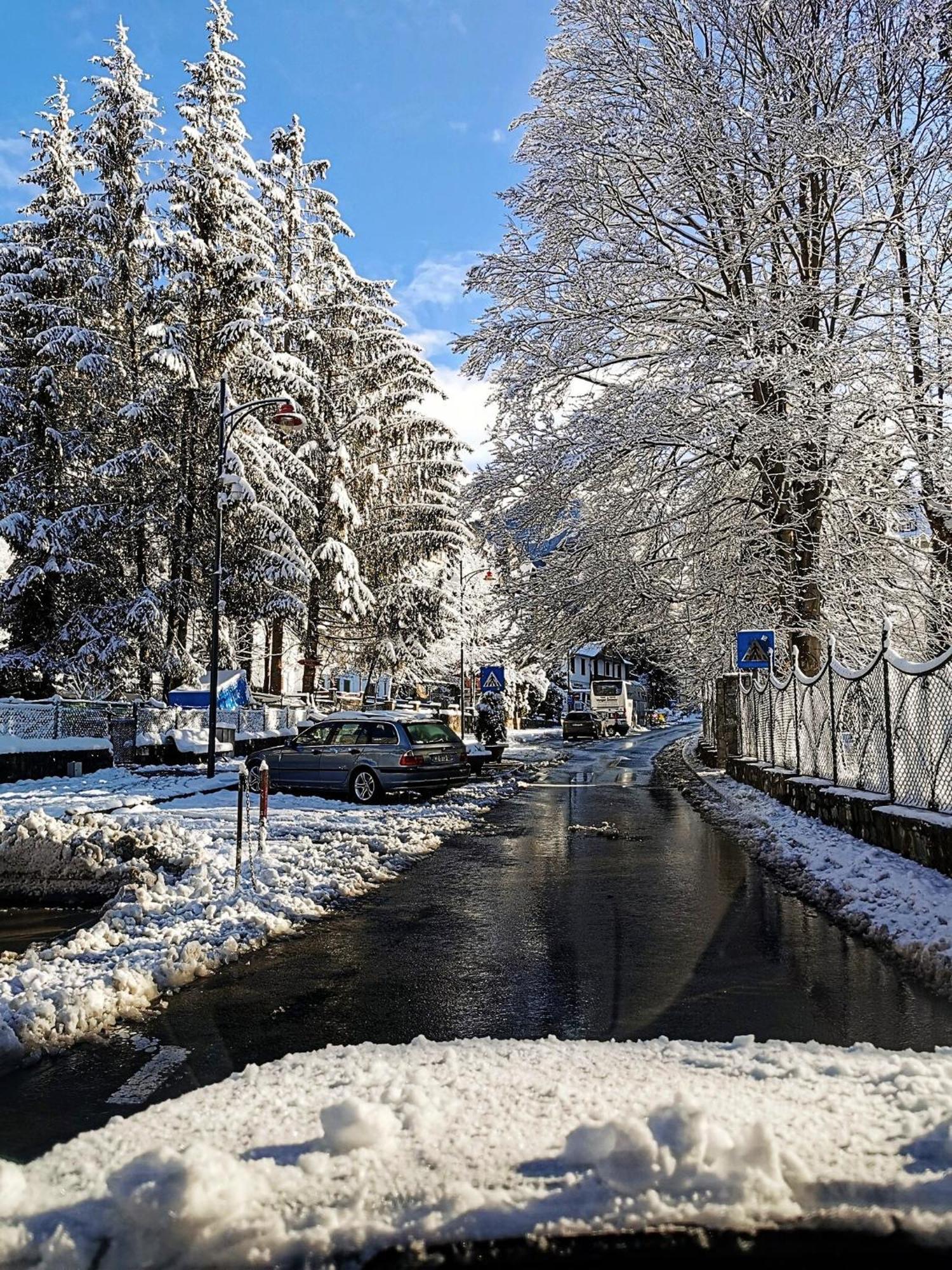 Central Park View Sinaia Apartment Екстериор снимка